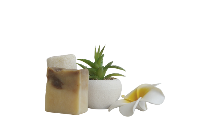 Natural handmade soap bars, succulent plant, and flower symbolizing Big Beauty Rockyn’s commitment to clean, earth-friendly beauty and self-care.
