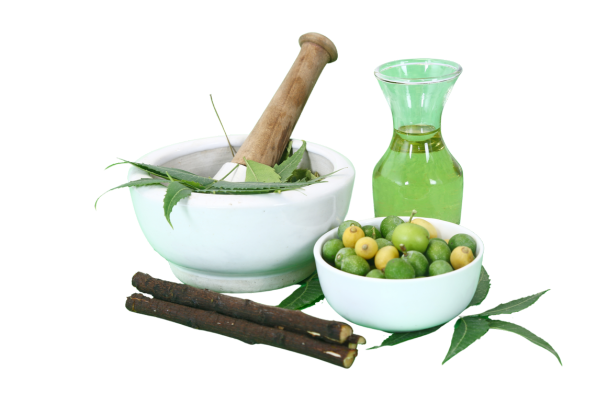 Neem leaves, amla fruit, herbal oil, and a mortar and pestle representing Big Beauty Rockyn’s use of natural, toxin-free, plant-based skincare ingredients.